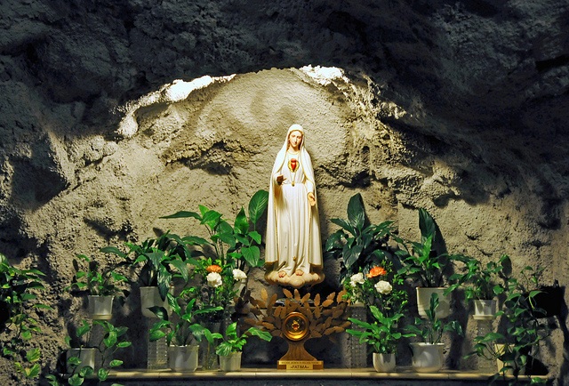 Mary-Người Thệ Phản và lòng sùng kính Thánh Mẫu