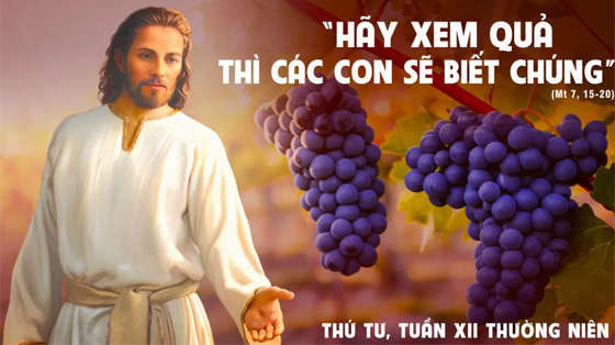 Mt 7, 15-20-thu-tu-tuan-12-thuong-nien