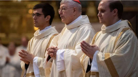 toa-thanh-va-quoc-gia-thanh-vatican-duc-hong-y-ghirlanda-cai-to-giao-trieu-de-phuc-vu-hoi-thanh-tot-hon